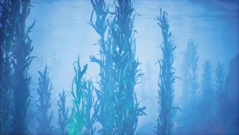 Unterwassergraswald-Aus-Algen